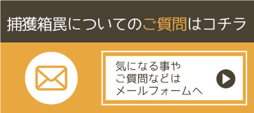 ご質問などはコチラ